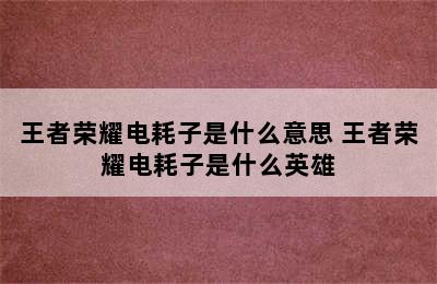 王者荣耀电耗子是什么意思 王者荣耀电耗子是什么英雄